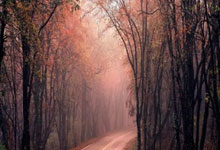 股票手机软件:那家股票券商app最好-AI唱主角！特斯拉发布“宏图4.0” 马斯克：未来80%价值来自机器人